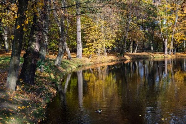 Autumn Lubomirski Park Biaystok Podlasie — Stock Photo, Image