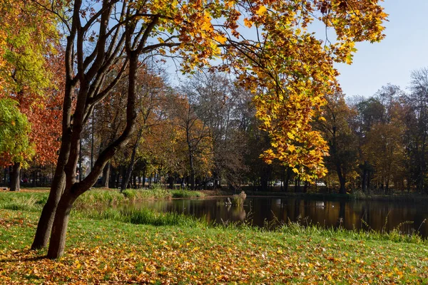 Autumn Lubomirski Park Biaystok Podlasie — Stock Photo, Image