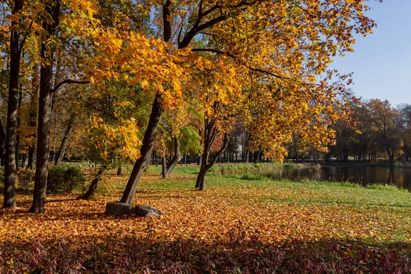 Herfst Het Lubomirski Park Biaystok Podlasie Stockfoto