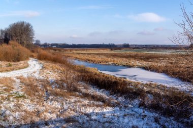 Narew Vadisi, Podlasie, Polonya 'da kışın hafif başlangıcı