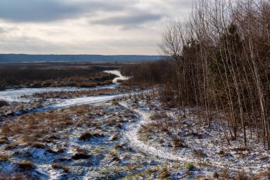 Narew Vadisi, Podlasie, Polonya 'da kışın hafif başlangıcı