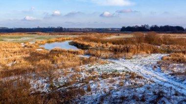 Narew Vadisi, Podlasie, Polonya 'da kışın hafif başlangıcı