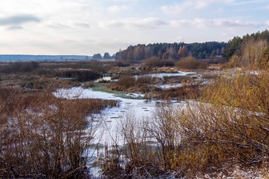 Narew Vadisi, Podlasie, Polonya 'da kışın hafif başlangıcı