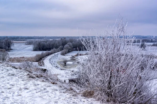 Buz, Narew ve Biebrza, Podlasie, Polonya 'nın kış manzarasını resmetti.