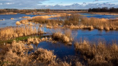 Nehir ve mavi gökyüzü ile güzel manzara