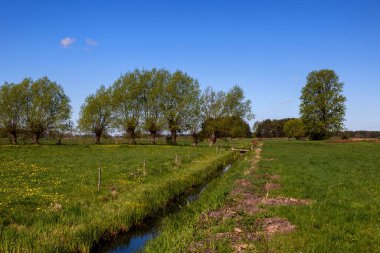 Podlasie, Polonya 'da güzel bir bahar