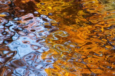 Göl suyundaki renkli sonbahar yapraklarının yansıması.