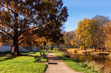 Podlasie Versailles. Branicki Park 'ta sonbahar, Biaystok, Polonya