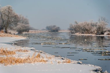 Podlasie nehirleri kışın Narel, Narew, Biebrza