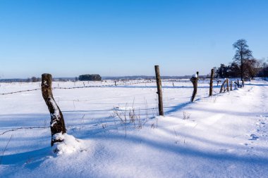 Narew Vadisi 'nde kış yürüyüşü, Podlasie, Polonya