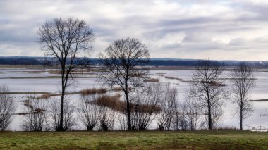 İlkbaharda güzel göl.