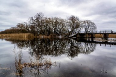 Nehir ve ağaçlarla dolu güzel bir manzara