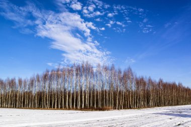 Kırsalda kış tarlaları