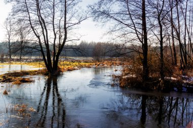 Ormanda sonbahar nehri, doğa