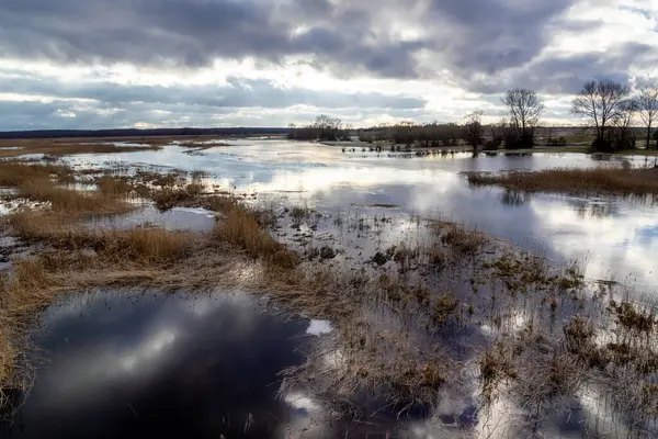 Arkasında ağaçlar olan güzel bir tarla görüntüsü.