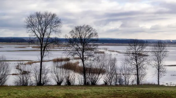 İlkbaharda güzel göl.
