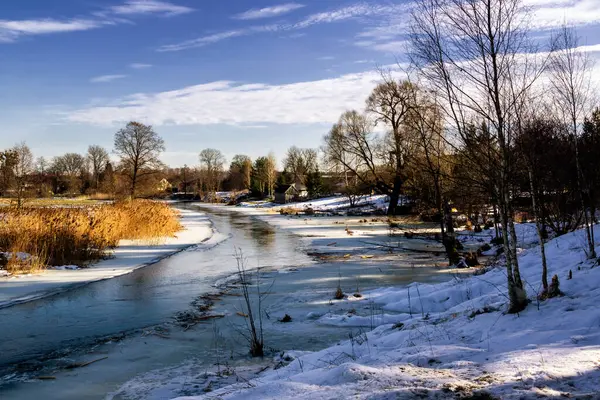Parktaki kış nehri manzarası