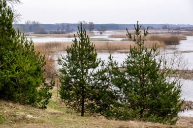 Nehir baharda Hollanda 'da