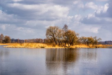 Ağaçlı ve bulutlu göl