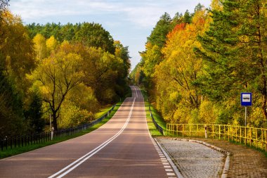 Sonbahar parkında boş asfalt yol