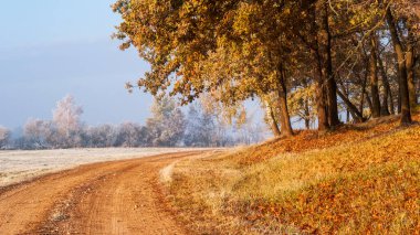 Yol ve ormanlı sonbahar manzarası