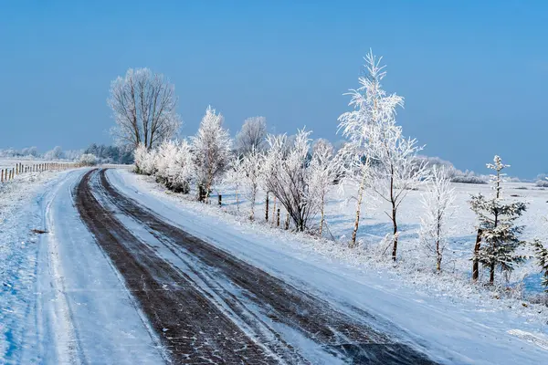 Kış manzarasında yol