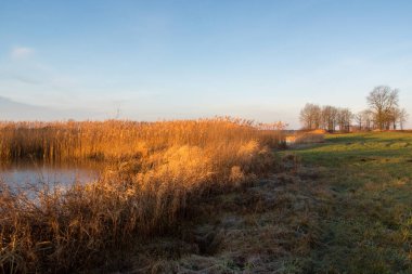 Kuru kamışlı bir gölde gün batımı