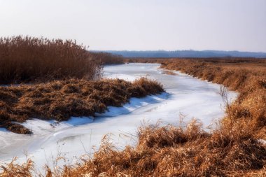 Kar ve ağaçlarla kaplı kış manzarası