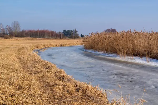 Kuzey Narew Vadisi, Podlasie, Polonya 'da ilkbahar başları