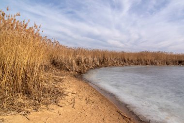 Siemianwka Barajı 'nda ilkbahar başlarında, Podlasie, Polonya