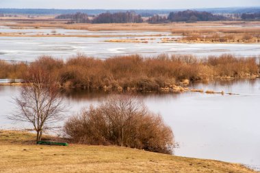 Biebrza Nehri, Podlasie, Polonya 'da bahar selleri