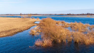 Narew Nehri, Podlasie, Polonya 'da bahar selleri