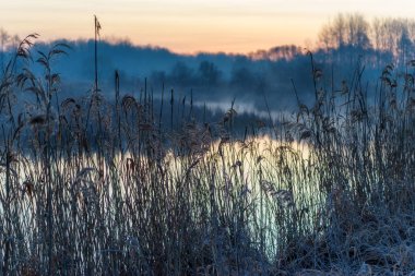 Dojlidzkie Pond 'larında serin bir sabah, Podlasie, Polonya