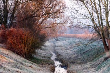 Dojlidzkie Pond 'larında serin bir sabah, Podlasie, Polonya
