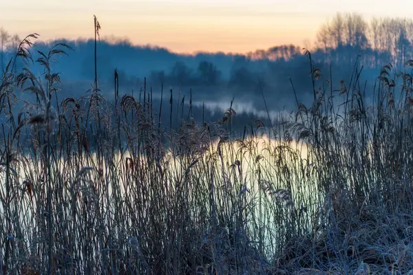 Dojlidzkie Pond 'larında serin bir sabah, Podlasie, Polonya