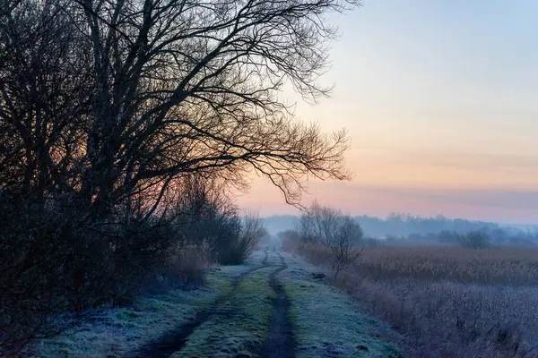 Dojlidzkie Pond 'larında serin bir sabah, Podlasie, Polonya