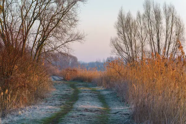 Dojlidzkie Pond 'larında serin bir sabah, Podlasie, Polonya