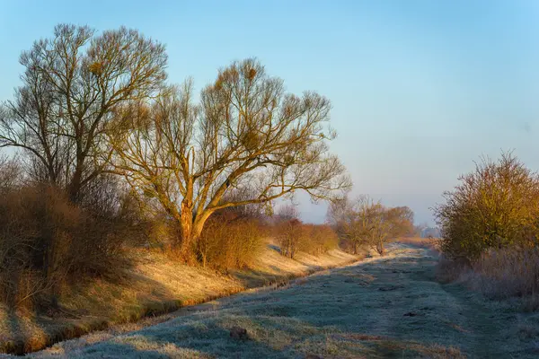 Dojlidzkie Pond 'larında serin bir sabah, Podlasie, Polonya