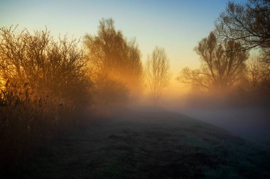Güneşli ve sisli bir bahar sabahı, Dojlidzkie Göletleri, Podlasie