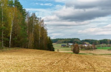 Ağaçlı güzel sonbahar manzarası