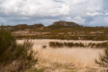 Arre Dağlarında yürüyüş, Brittany, Fransa