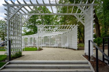 Parktaki yeşil çimlerde boş ahşap banklar