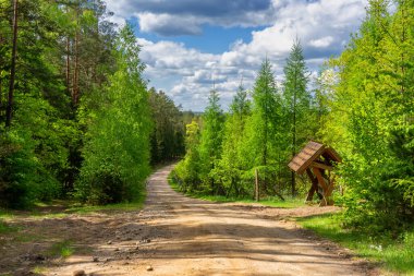 Yukarı Narew Bölgesinin Güzelliği, Podlasie, Polonya