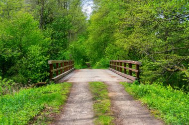 Nehrin üzerindeki tahta köprü.