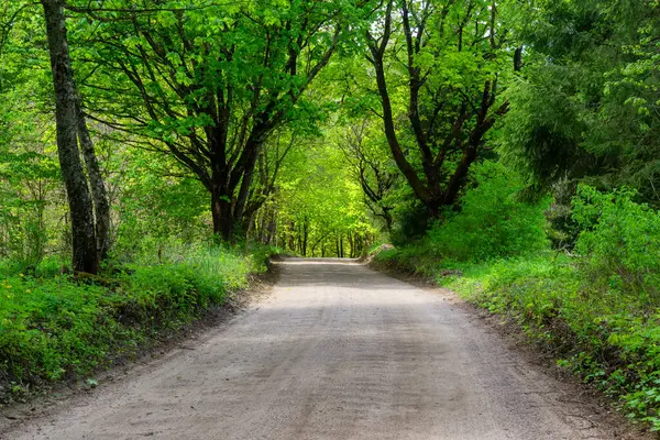 Yukarı Narew Bölgesinin Güzelliği, Podlasie, Polonya