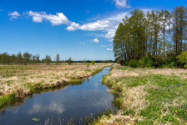 Yukarı Narew Bölgesinin Güzelliği, Podlasie, Polonya