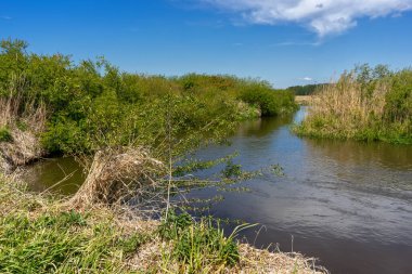 Yukarı Narew Bölgesinin Güzelliği, Podlasie, Polonya