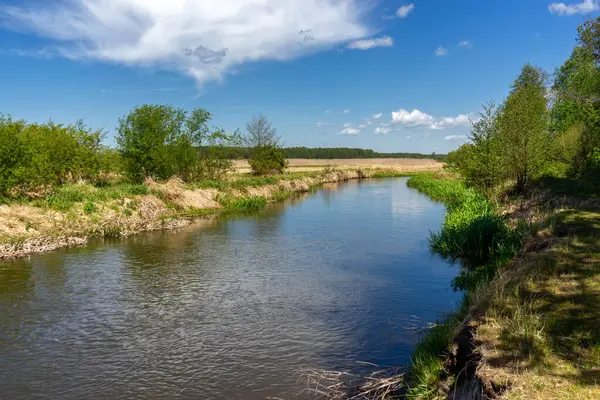 Yukarı Narew Bölgesinin Güzelliği, Podlasie, Polonya