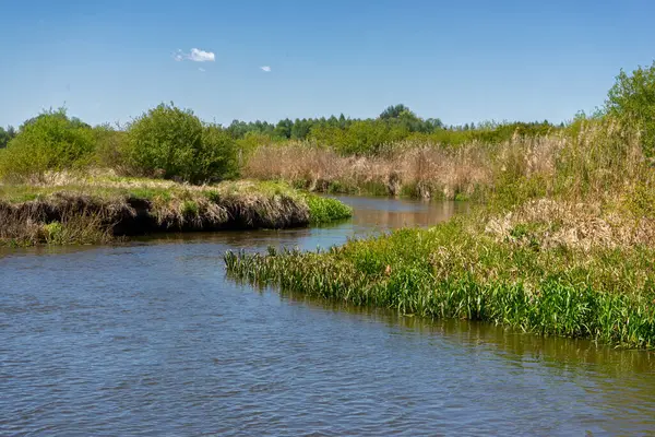 Yukarı Narew Bölgesinin Güzelliği, Podlasie, Polonya