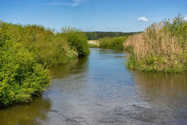 Yukarı Narew Bölgesinin Güzelliği, Podlasie, Polonya
